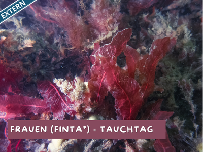 2026_Kalender_FINTA