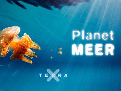 2026_Kalender_TerraX