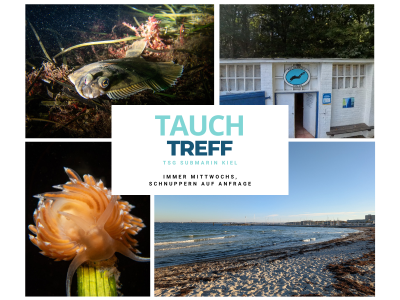 Veranstaltung_Sommer-Tauchtreff_2026