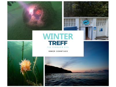 Veranstaltung_Winter-Tauchtreff_2627