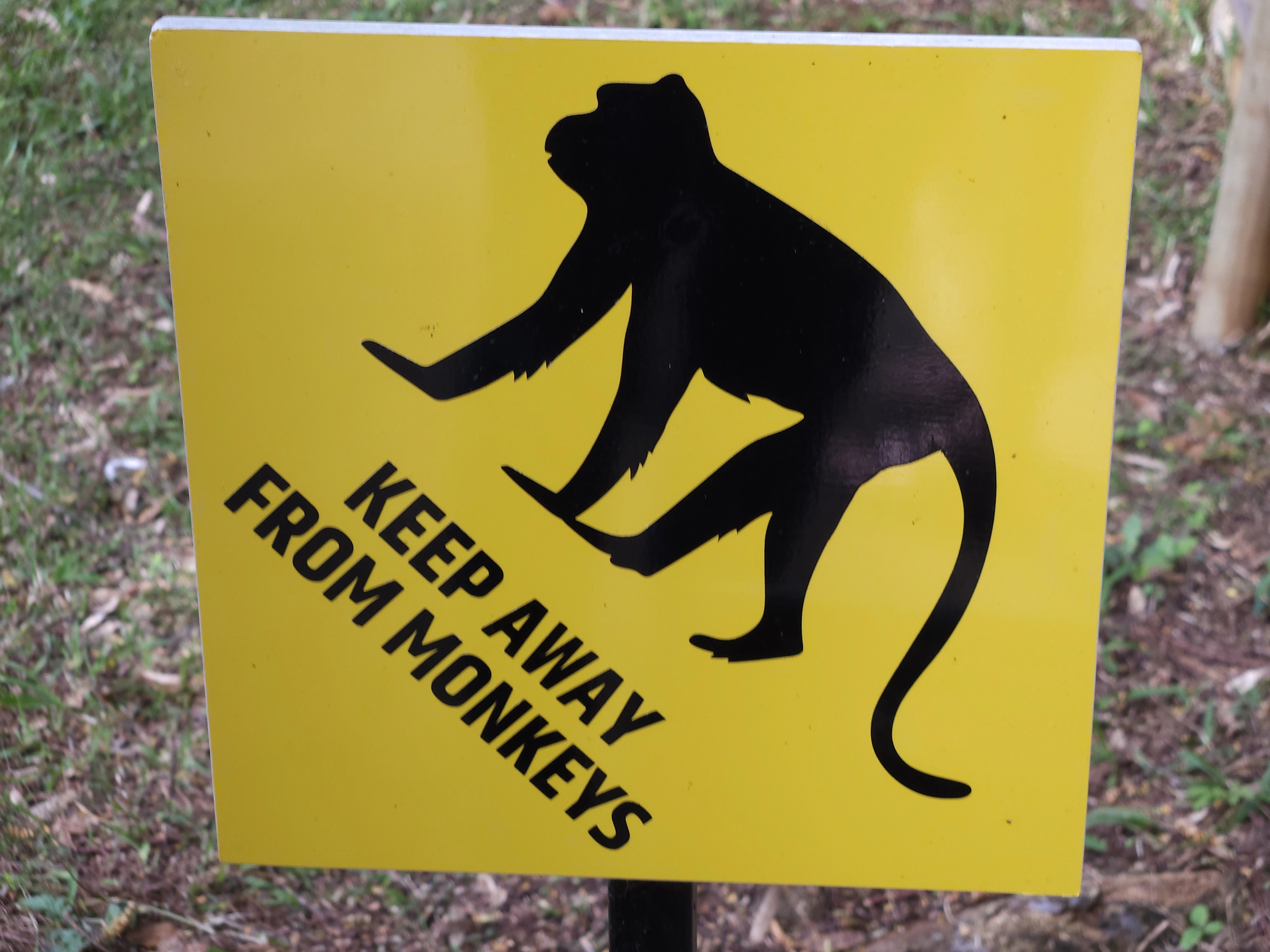 Halt dich fern von Affenschild