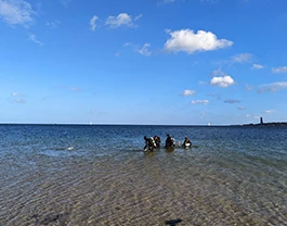 Falckenstein Tauchen in Falckenstein