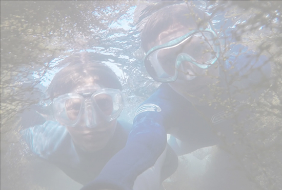 Vereinsmitglieder beim Tauchen, Jubiläumsjahr 2023