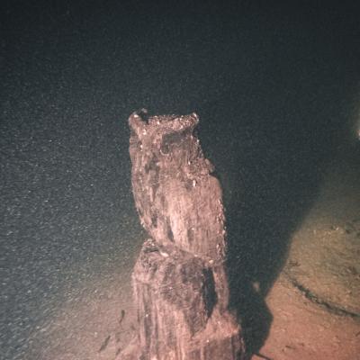 Ploen Eule Wendehammer 18m Ploen Eule Wendehammer 18m