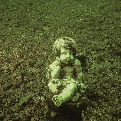 Ploen Putte Ploen Putte