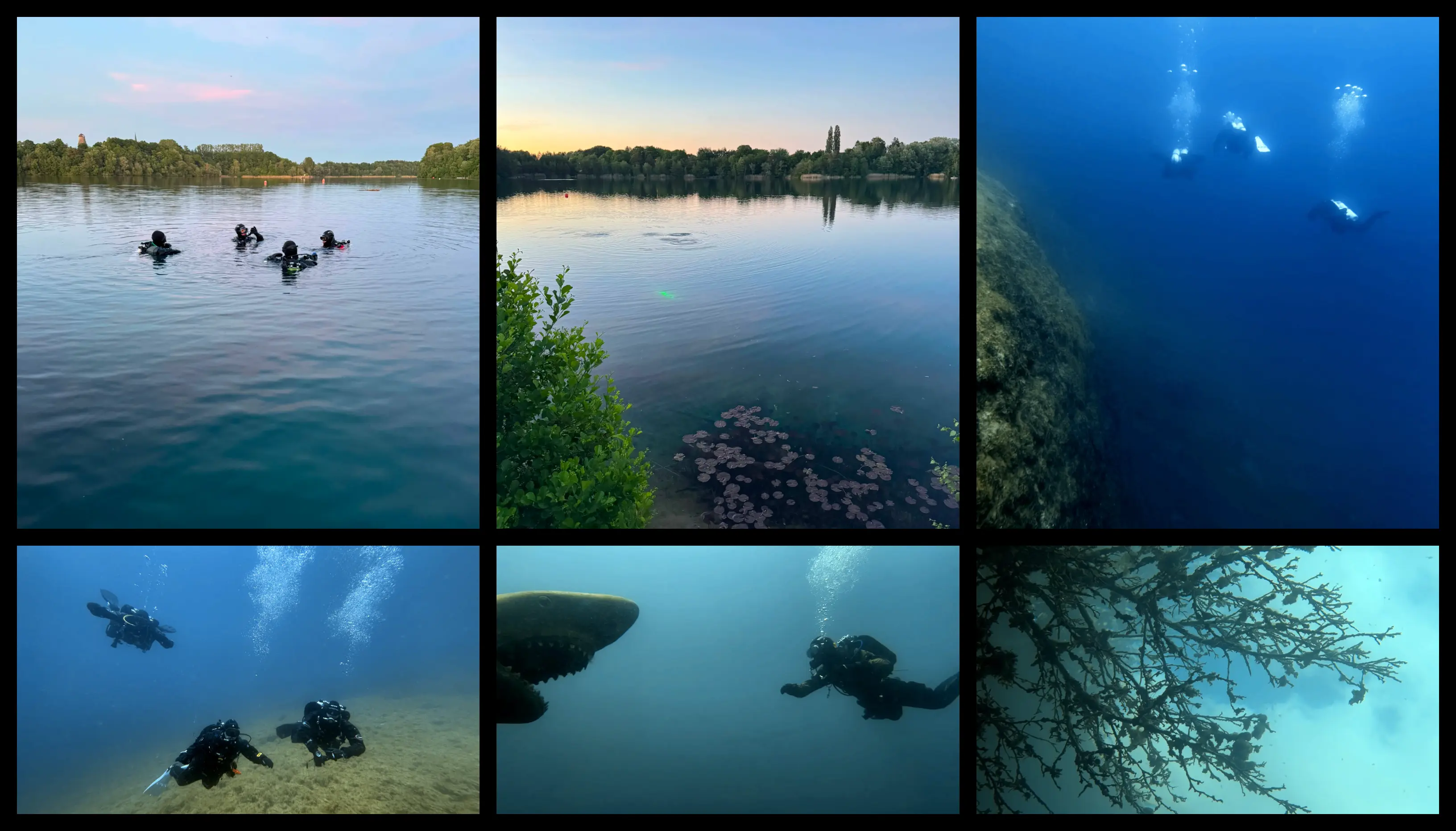 Taucher im blauen Wasser
