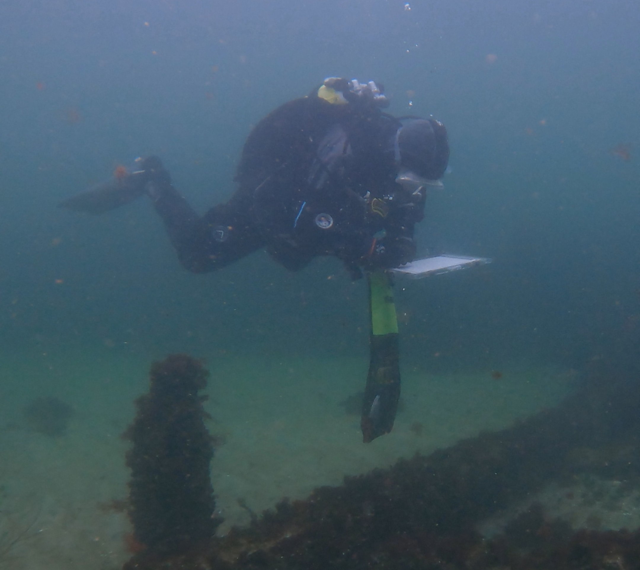 Unterwasserarchäologische Aufnahme - Taucherin die zeichnet